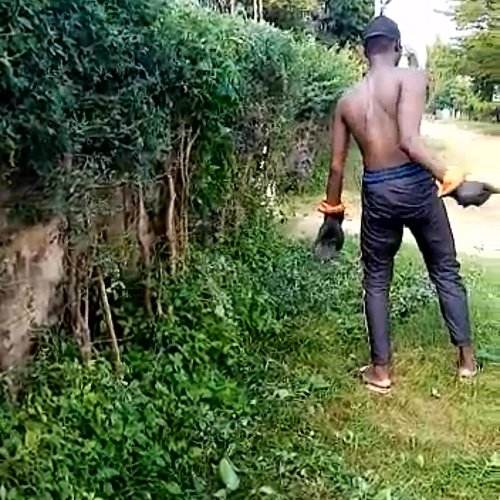 🇩🇪Diese Machetenskills🤯

🇬🇧Those machete skills🤯
#kenya #aachen #machete